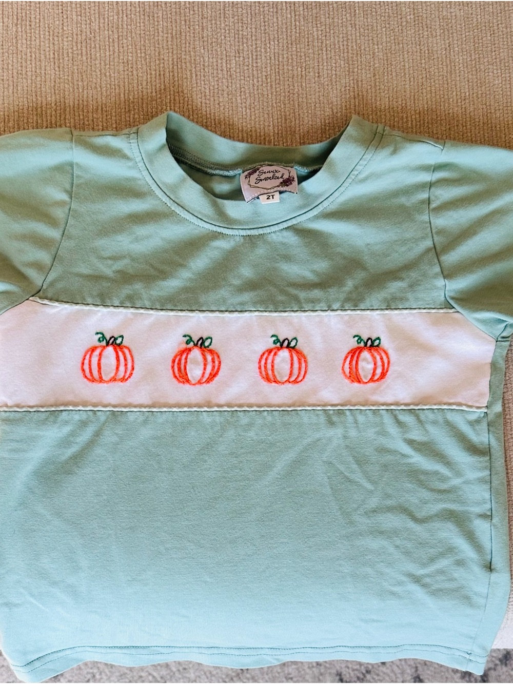Mint Green Toddler Tee with Embroidered Pumpkins
